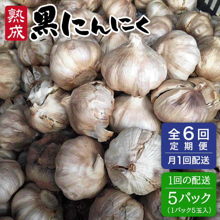 【ふるさと納税】【全6回定期便】熟成 黒にんにく 25玉（1パック5玉×5パック）《糸島》【シーブ】 [AHC039] 常温 200000円 20万円