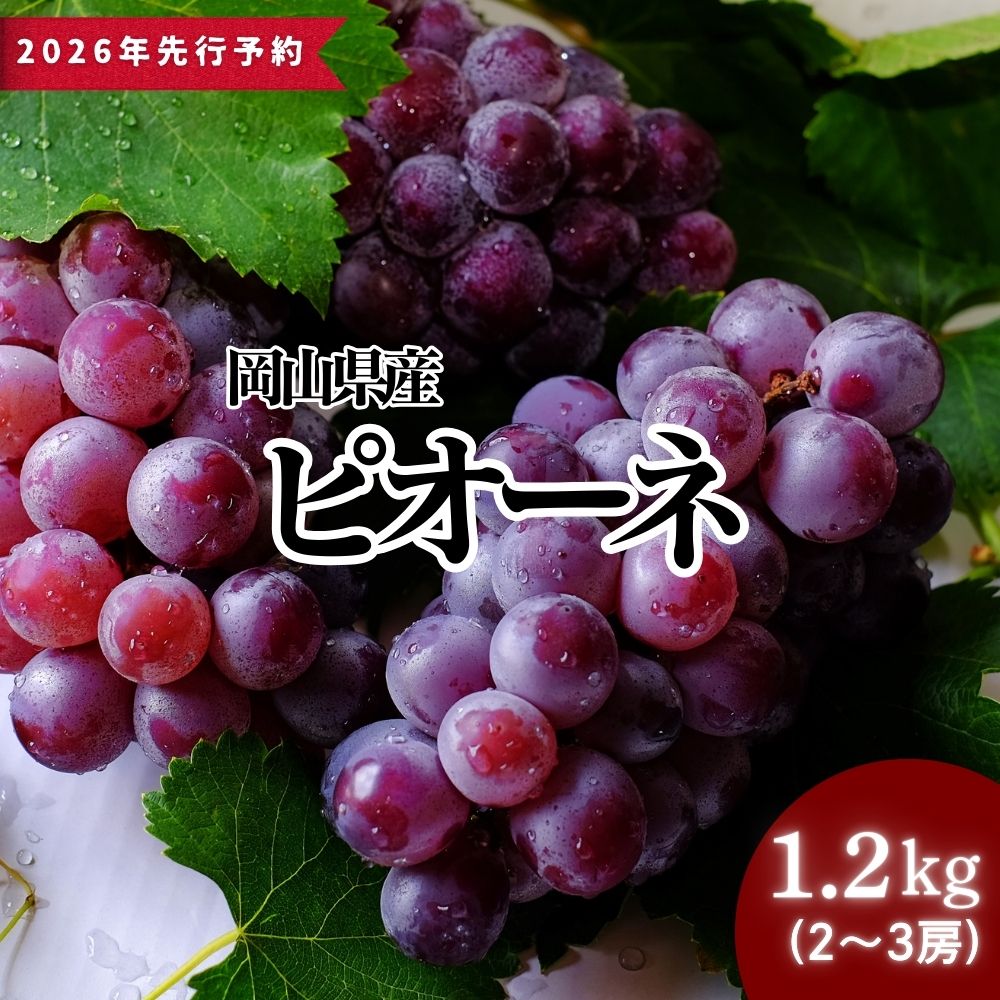 【ふるさと納税】＜2026年発送先行予約＞岡山県産 ピオーネ 1.2kg以上（2～3房） 2026年9月初旬頃から順次発送予定 大粒 高糖度 フルーツ 果物 くだもの 巨峰 ぶどう ブドウ 葡萄 岡山県 高級 人気 送料無料［025-a022］