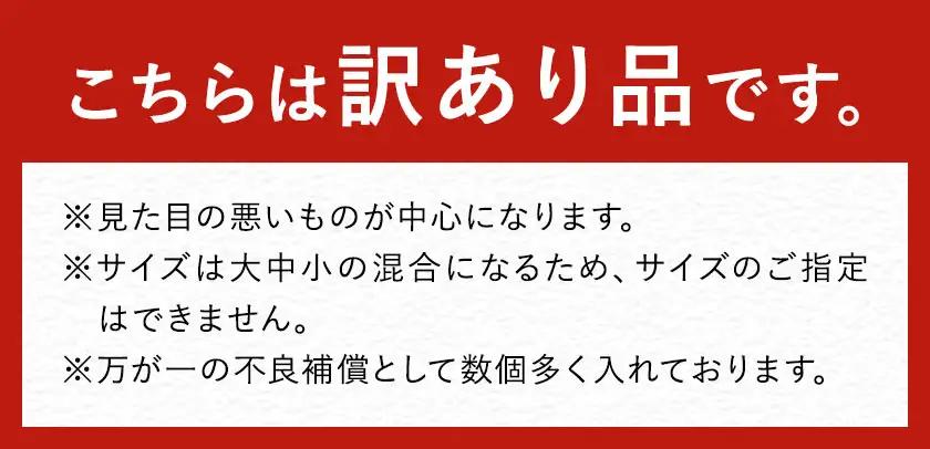 訳あり みかん 由良 早生 みかん ご家庭用 約10kg エイワ商店