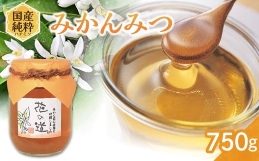国産純粋蜂蜜 みかんみつ 750g 非加熱 はちみつ ハチミツ 生はちみつ ローハニー オススメ 贈答 贈り物 プレゼント 八女市
