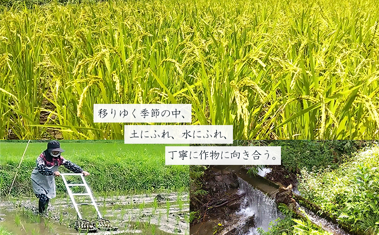 【数量限定】新米 令和７年産 農薬・化学肥料不使用 「陽の光穂（ひのひかり）」3kg(1kg×3p) 　TF0803-P00075