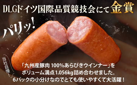 ボリューム1.056kg 九州産豚肉100％あらびきポークウインナーセット 6パック あらびき ポークウインナー 九州産 五島灘の塩 天然羊腸 ジューシー ドイツ 金賞 福岡県 福岡 九州 グルメ お