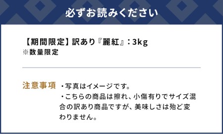 【先行予約・数量限定】野の花ファーム 訳あり 麗紅 3kg みかん ミカン オレンジ 蜜柑 フルーツ 旬 果物 くだもの 大分県産 九州産 津久見市 国産【tsu002802】