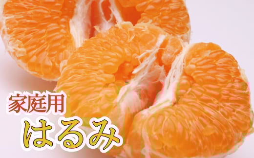 【先行予約】家庭用はるみ1kg+250g（傷み補償分）＜2月より発送＞/ みかん ミカン 有田みかん 柑橘 フルーツ 果物 和歌山 オレンジ【ikd142B】