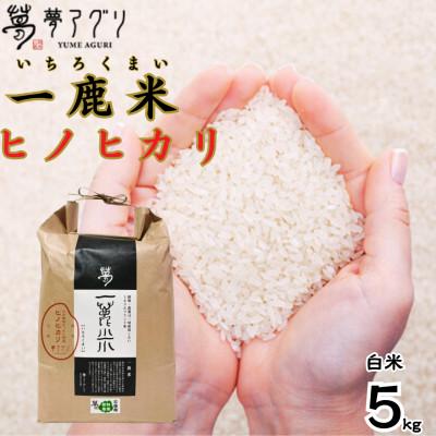 ふるさと納税 山鹿市 一鹿米 ヒノヒカリ 栽培期間中肥料農薬不使用 米 白米 5kg【株式会社夢アグリ】《山鹿市》 | 