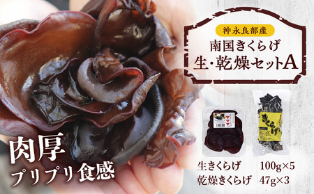 南国 きくらげ 生 ・ 乾燥 セットA C070-002 キクラゲ 有機成分 ミネラル 歯ごたえ 肉厚 バガス 野菜 やさい 沖永良部産 沖永良部 生きくらげ 生キクラゲ 乾燥きくらげ 料理 中華炒め