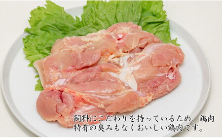 【3回定期便 総計5.4kg】 ありたどり もも肉 約1.8kg (300g×6枚) 全3回 定期便 鶏肉 モモ肉 小分け 真空パック N45-10
