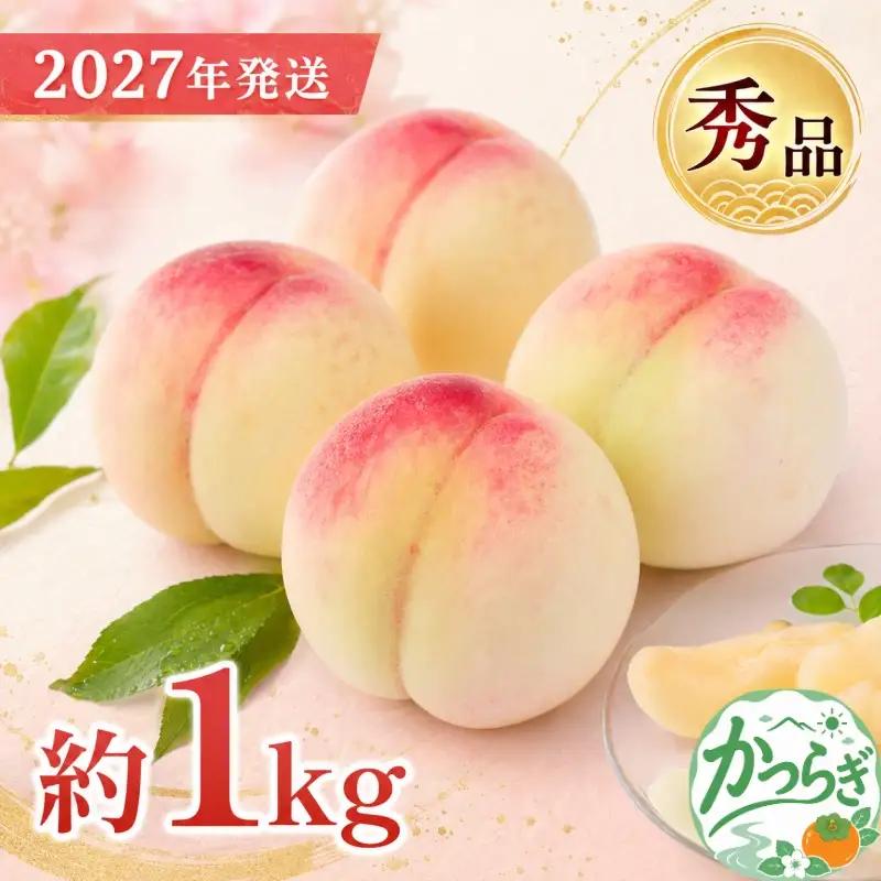 和歌山県産 桃 3玉～4玉 約1kg 秀品  【2027年7月上旬～2027年8月下旬頃発送予定】【US54】【AS002-uts061】