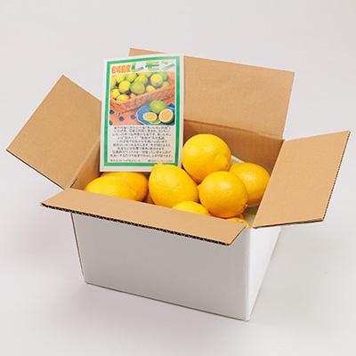 ふるさと納税 上島町 青いレモンの島　レモン約1kg【お試しセット】 |  | 03