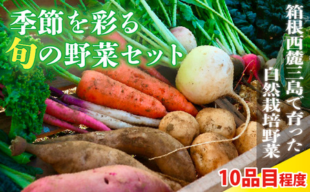 季節彩る旬の野菜セット 野菜 やさい サラダ 季節 詰合せ 新鮮 おまかせ 詰め合わせ 10品種前後 収穫 国産 産地直送 静岡県 三島市
