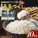 【ふるさと納税】【令和5年産】福岡県産ブランド米「元気つくし」無洗米 10kg (5kg×2袋)《築上町》【株式会社ゼロプラス】20000円 2万円 [ABDD004]