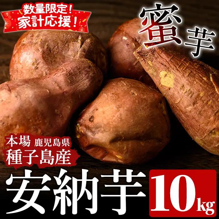安納芋 さつまいも 10kg 生活 家計 応援 【種子島安納株式会社】n080-n