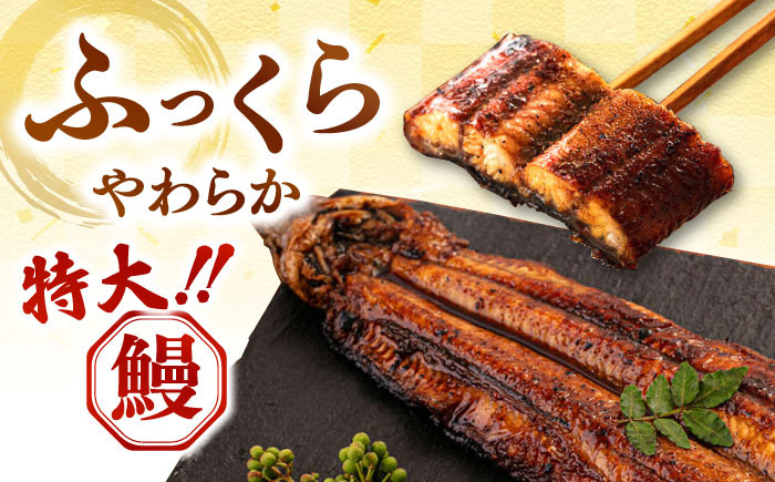 全6回定期便 特大！ 鹿児島産 うなぎ 蒲焼 2尾セット