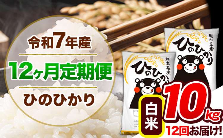 【12ヶ月定期便】令和7年産 定期便 ひのひかり 白米 10kg 《お申込み翌月から出荷開始》熊本県産 ふるさと納税 白米 精米 ひの 米 こめ ふるさとのうぜい ヒノヒカリ コメ 熊本米 ひのもり