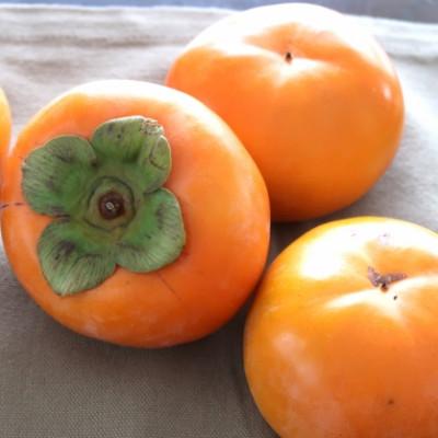 ふるさと納税 朝倉市 朝倉産　富有柿　約3kg(朝倉市)