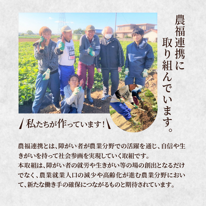 【農福連携】やみつき塩けんぴ（芋けんぴ）　7袋小分けセット（計420g） サツマイモスイーツ さつまいもスイーツ 芋けんぴ いもかりんとう いもけんぴ 和菓子 スイーツ お菓子 お茶うけ おつまみ 小