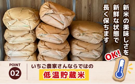 【定期2回】数量 限定  訳あり 定期便 令和8年度 栃木県産 コシヒカリ 約 20kg | 数量限定 こしひかり  精米 白米 米 ごはん おいしい okome kome お米 コシヒカリ ふるさと