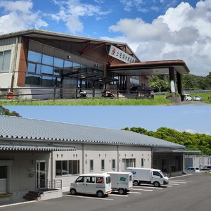 さばの竜田揚げ 1kg 1パック サバ 鯖 ごまさば 骨取り 骨なし 揚げるだけ 味付き 衣付き 冷凍食品 惣菜 唐揚げ お弁当 おかず 簡単 手軽 冷凍 配送【R01320】