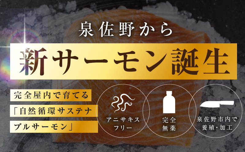シャインサーモン 760g以上【2パック 国産 小分け さーもん 鮭 さけ シャケ しゃけ 冷凍 サイズ不揃い 訳あり】