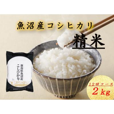 ふるさと納税 十日町市 【毎月定期便】魚沼産コシヒカリ　精米[2kg×1袋]全12回