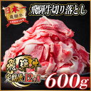 【ふるさと納税】【毎月定期便】飛騨牛　切り落とし　約600g【冷蔵便】全12回【配送不可地域：離島】【4055016】