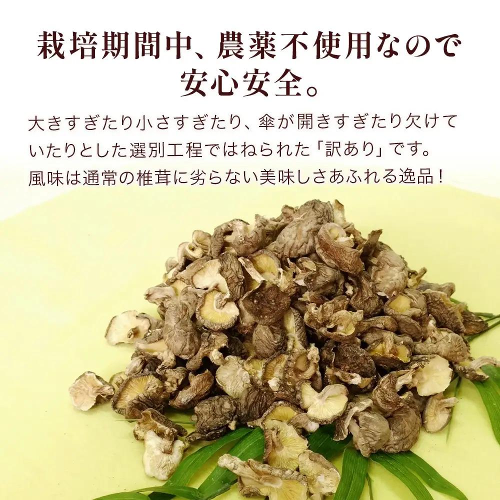 乾燥椎茸 訳あり 椎茸 100g×5パック | 津久見市