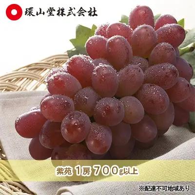 ぶどう 2026年 先行予約 冬 紫苑 1房 700g以上 岡山県産 ぶどう
