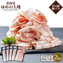 【ふるさと納税】北海道ブランド豚 ゆめの大地 豚バラ スライス 200g×10パック 計2kg オンライン 申請 ふるさと納税 北海道 羽幌 豚肉 豚 肉 お肉 バラ ポーク 冷凍 冷凍肉 国産豚肉 四元豚 国産 焼肉 生姜焼き 豚汁 羽幌【27005】