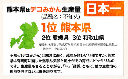 ご家庭用 デコみかん 約2.5kg 6～12玉前後《2026年2月上旬-4月末頃より出荷予定》デコポン（不知火）と同品種 熊本県産 熊本県 長洲町 訳あり