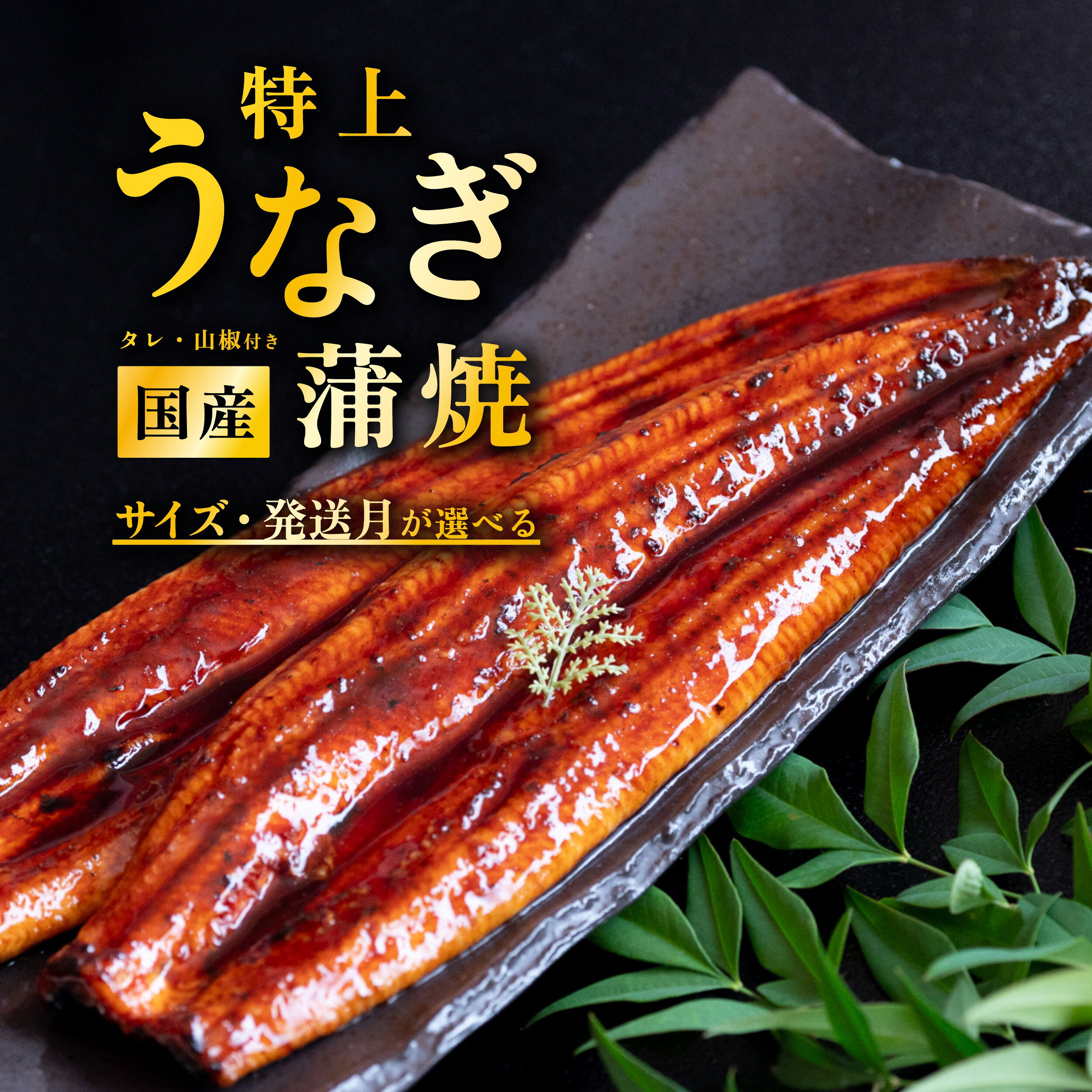 【ふるさと納税】 うなぎ 鰻 ウナギ うなぎ蒲焼 鰻蒲焼 うな重 鰻重 ひつまぶし たれ タレ たっぷり 大ぶり 小ぶり【発送月・容量が選べる！】 国産うなぎ蒲焼 タレ・山椒付き 2尾 280g以上 / 4尾 560g以上 / 特上1尾 270g以上 / 特上2尾 550g以上