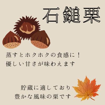ふるさと納税 茨城県 栗ご飯にぴったり!茨城県産 貯蔵 石鎚栗 約2kg(約1kg×2袋) |  | 01