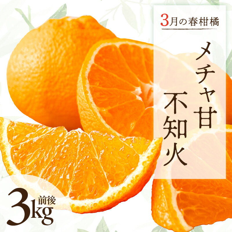 【ふるさと納税】【高評価★5.00 高レビュー★】3月の御浜柑橘 メチャ甘不知火 3kg前後【御浜町でとれためちゃ甘シラヌイをお届け！】