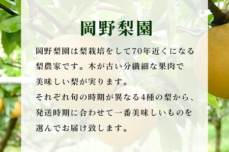 石岡のおいしい梨3kg  A39-001