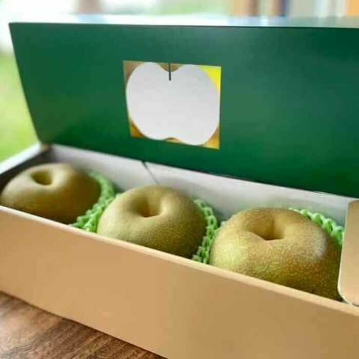 【ふるさと納税】【2026年発送分 先行予約】【化粧箱入り】温室幸太郎（幸水）3個入（約1.2kg）/ 梨 伊万里梨 なし / 佐賀県 / 大川三世代 [41AEAB012]