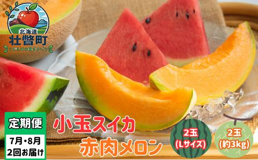 【先行予約】【定期便2回】赤肉メロン2玉＋小玉スイカ2玉 旬のフルーツ定期便<7月下旬・8月上旬お届け> SBTN011