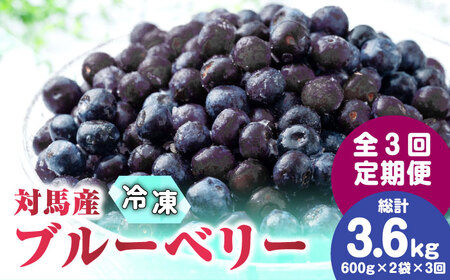 【先行予約】【全3回定期便】 大容量 対馬産 ブルーベリー （ 冷凍 ） 1.2kg  [WBG002] 有機 旬 ブルーベリー フルーツ