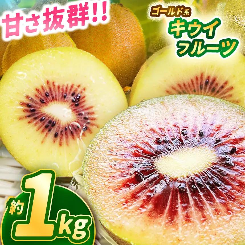 【先行予約】完熟 甘さ抜群のゴールド系 キウイフルーツ 約1kg | 果物 くだもの フルーツ 野菜 やさい ヤサイ キウイ きうい ゴールドキウイ ごーるどきうい 新鮮 フレッシュ 甘い 美味しい 