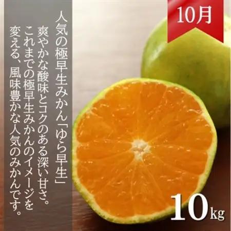 【発送月固定定期便】みかん好きに食べてほしい　2種のみかん定期便　各10kg【贈答用・秀品】全2回【4054114】