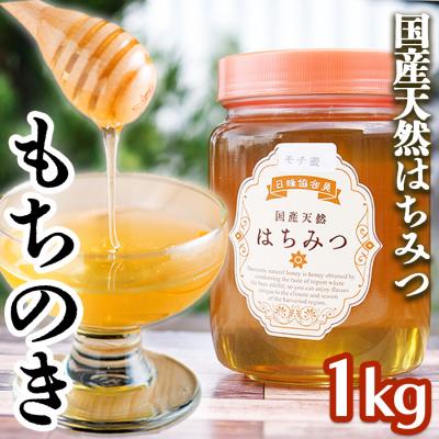 ふるさと納税 小郡市 はちみつ 国産 100% 天然はちみつ もちのき 1kg[No5354-0211]