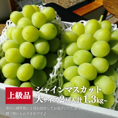 【きよとうファーム】シャインマスカット 大2房入/計1.3kg~(岡山県産)【配送不可地域：離島】