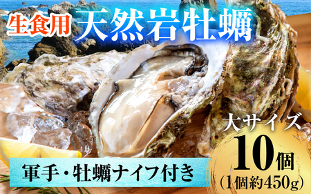 【先行予約/6月下旬より順次発送】 若狭湾　生食用　天然岩牡蠣　大10個（軍手、牡蠣ナイフ付き） 小浜市 / 加福鮮魚【配送不可地域：北海道・沖縄・離島】 [BFBC010] 