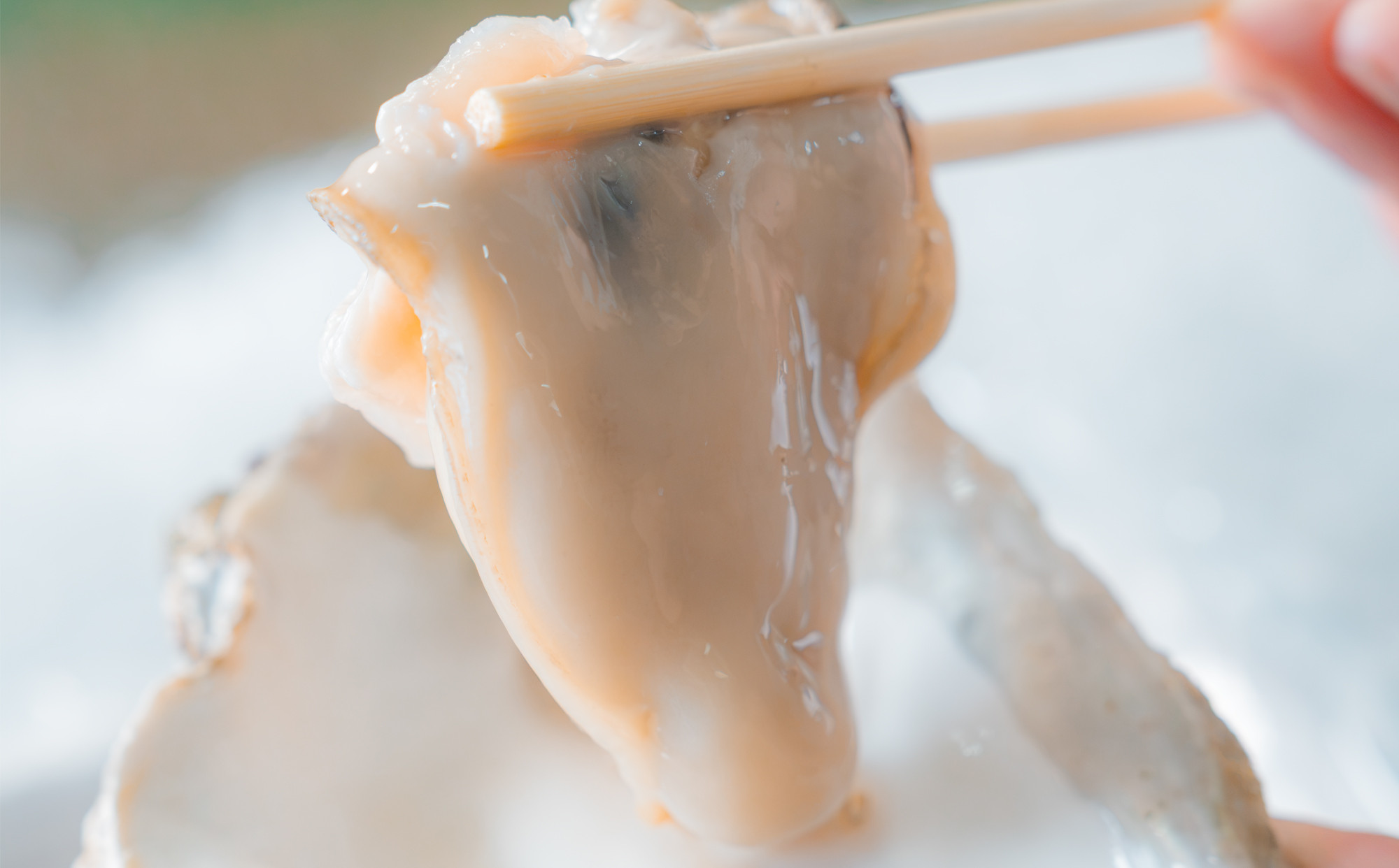 牡蠣 鳥取県産 天然 岩ガキ 夏輝 特大サイズ 3個 （500g以上×3個）※2026年6月上旬～8月下旬頃に順次発送予定