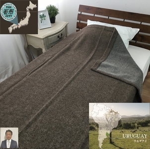 [睡眠環境・寝具指導士 推奨] ウルグアイカラードウール毛布 シングル ベージュ SH-34912SBE [3707]