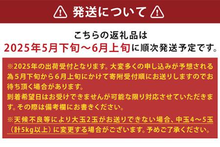 【2027年4月中旬?発送】タカミ メロン (極み)大玉 2個 (計3.4kg?4kg) 果物 フルーツ 貴味 メロン 001-0659