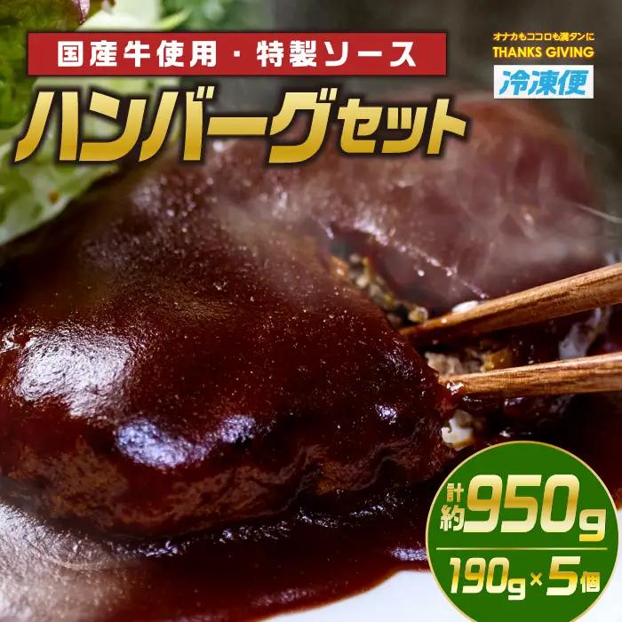 ハンバーグセット(計約950g・190g×5個) 牛肉  冷凍 個包装 国産 【TG-1】【サンクスギビング】