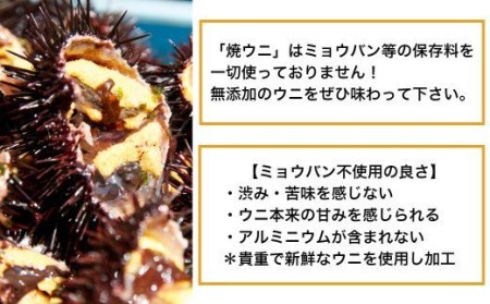 広田湾漁協からお届け！焼きウニ２個【ミョウバン不使用】