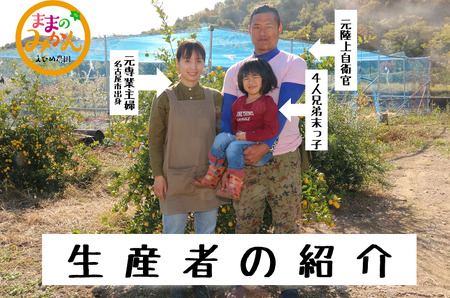 【新品種登場！】＜産地直送＞【数量限定】みかん「愛果48号」　サイズ不揃い3キロ　家庭用 2025年3月中旬頃～順次発送【訳あり ふぞろい 甘い みかん 愛媛】
