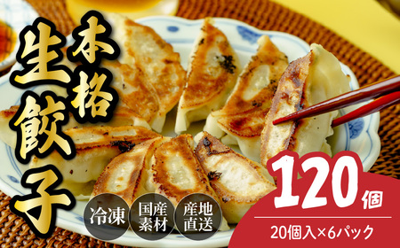  生餃子 120個 | 餃子 冷凍ギョウザ 北本フーズ