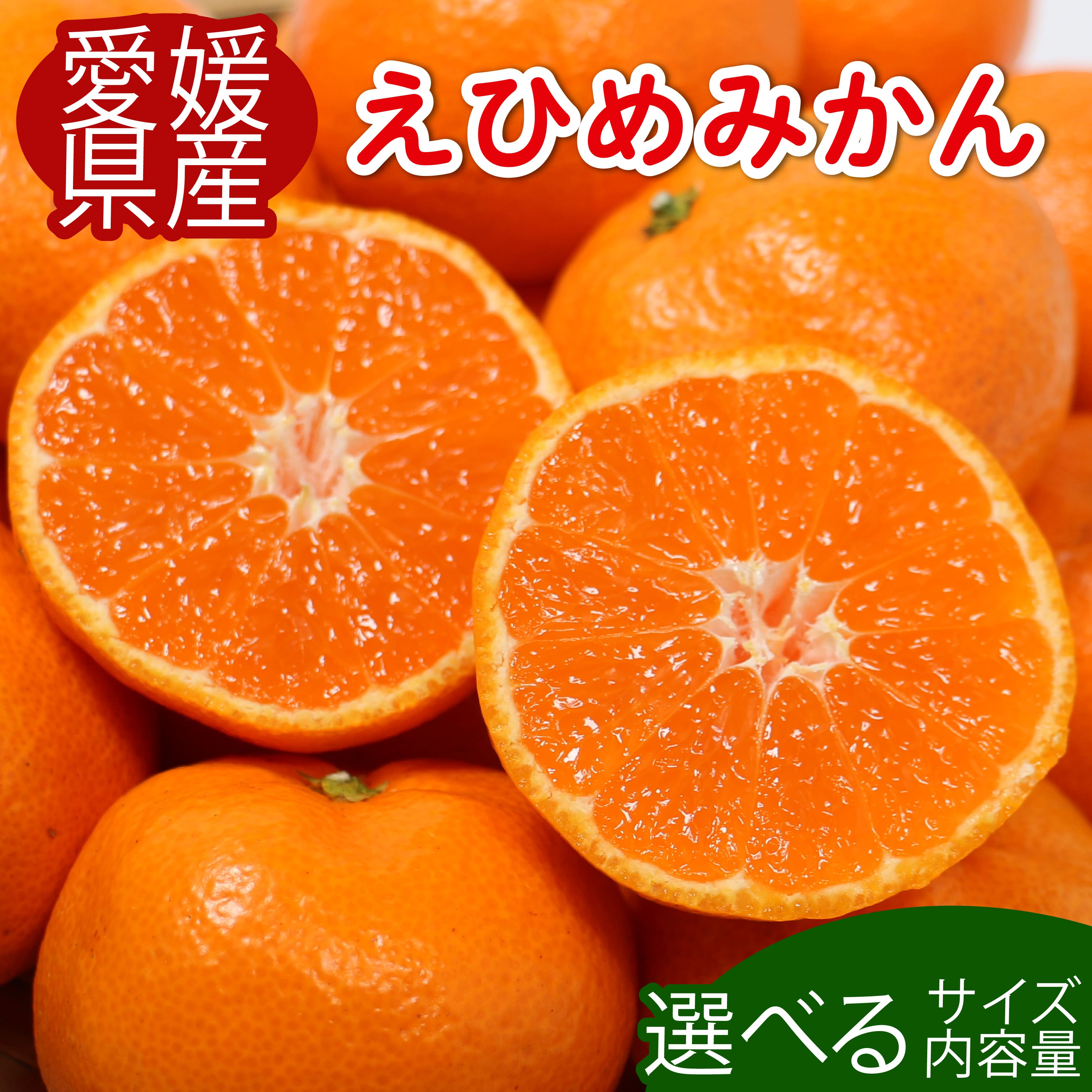 訳あり 家庭用 愛媛みかん 5kg 柑橘 果物 国産 フルーツ 有名 みかん 清家ばんかんビレッジ 蜜柑 ブランド 大きさ 不揃い 傷 大小ミックス 温州 愛媛県 愛南町 果実 ビタミン 美味しい 発送期間：11月上旬~1月下旬