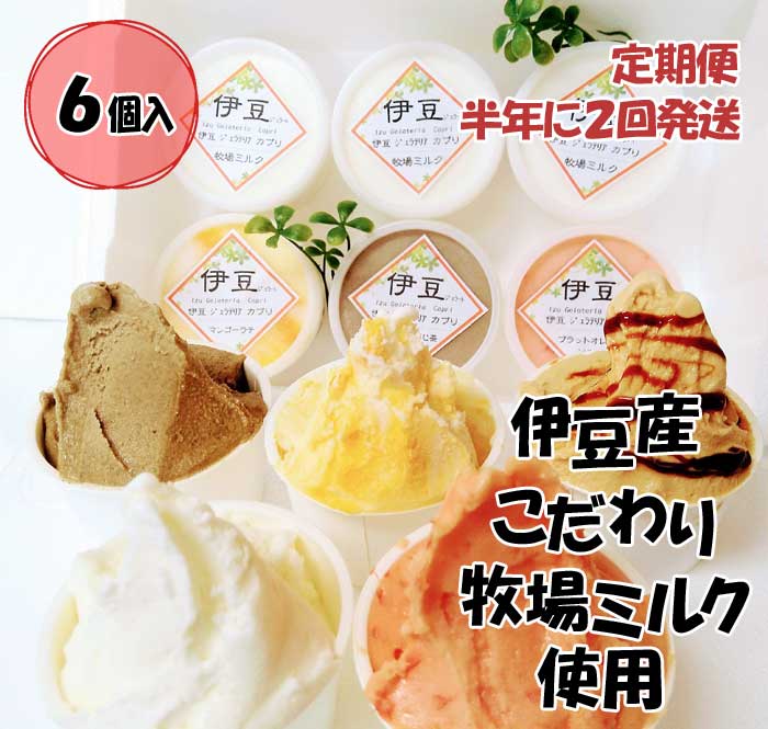 G2*【ふるさと納税】【定期便 全2回】伊豆産 低温殺菌ミルクのこだわりジェラート6個セット カプリおまかせセット6個(4種類) 半年に2回発送